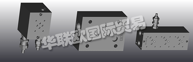 EUROFLUID Hydraulic是一家大型公司，專門生產(chǎn)液壓設備的歧管。