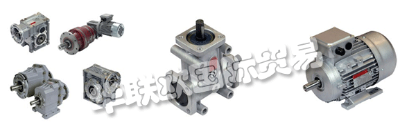 財產(chǎn)的意愿都是維持和鞏固集團(tuán)的領(lǐng)導(dǎo)地位CHIARAVALLI，