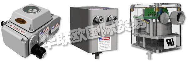 因此被視為AUTOFLAME公司和質(zhì)量管理體系的主要目標(biāo)。