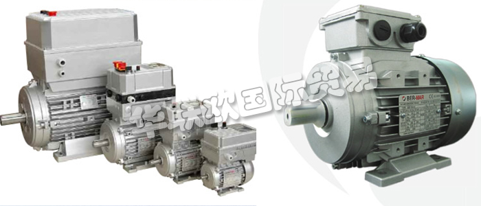 意大利BERMAR公司的主要產(chǎn)品包括：意大利BERMAR電機(jī)、BERMAR電動機(jī)、異步電機(jī)、異步電動機(jī)、永磁發(fā)動機(jī)、逆變器、伺服通風(fēng)電動機(jī)、伺服電動機(jī)、工業(yè)洗衣機(jī)電動機(jī)、單相電動機(jī)、DRIVEJET鼓風(fēng)機(jī)、高效電機(jī)、泵、風(fēng)扇、工業(yè)壓縮機(jī)。